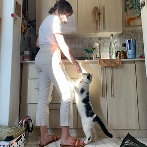 Meet your Posher, Nicolette